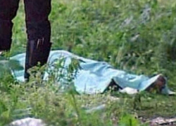 Жестоко убитыми обнаружили молдавских мигрантов в поле под Москвой