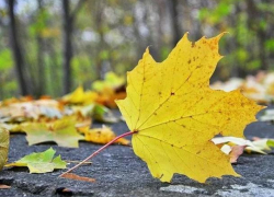 С сегодняшнего дня погода начинает ухудшаться