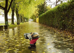 Среда в Молдове будет дождливой 