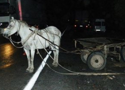 Автомобиль врезался в конную повозку в Конгазе: несовершеннолетний юноша и мужчина получили ранения