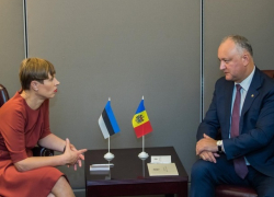 Президенты Молдовы и Эстонии встретились в Нью-Йорке