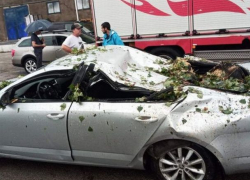 В столице несколько автомобилей были сильно разбиты упавшими ветками