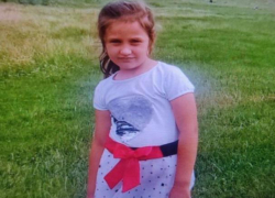 Срочно! Изверг убил 7-летнюю девочку на севере Молдовы