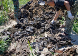 На скотомогильнике обнаружили личные вещи погибших в "Иловайском котле" украинских военных: жуткие кадры