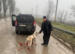 Возмутительные кадры 18+ - в Кишиневе водитель привязал собаку к машине и потащил ее по асфальту