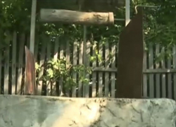 Мужчину обнаружили мертвым в колодце в Дондюшанах