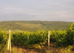 Несчастный случай в Кантемире - мужчина задохнулся ядовитыми парами, прочищая канализацию