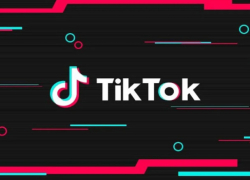 «Я могу стать твоей за 500 леев»: полиция начала проверку после роликов в TikTok 