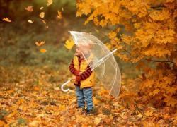 В среду в Молдове сохранится теплая погода 