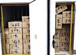 ANSA уничтожило 1682 кг зараженного мороженого 