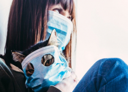 Правительство настаивает на запрещении доступа в рестораны для невакцинированных