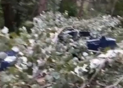 В Вадул луй Водэ град и ветки разгромили машину приехавших отдохнуть