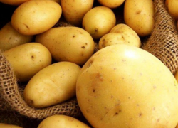 Кто не смог попробовать картофель в Египте, сможет сделать это в Молдове - теперь плод будут импортировать в Молдову