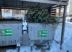 Не выбрасывайте елки в мусорные баки! Примэрия обратилась к жителям столицы