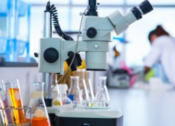 Наука в Молдове: расходы выросли, но учёных стало меньше на 5,8%