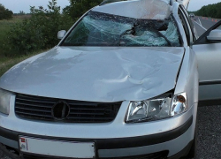 Насмерть сбитый мужчина около Первомайска проломил лобовое стекло автомобиля