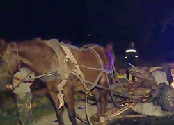 Автомобиль врезался в телегу с виноградом в Пересечина: серьезно пострадал возница