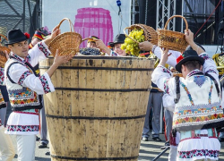 Национальный день вина соберет рекордное количество виноделен