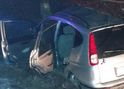 В Штефан-Водэ при ударе о дерево погибла мать водителя