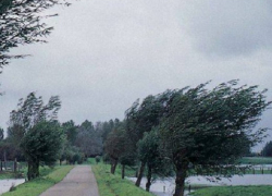 Ураганный ветер оставил без электричества населенные пункты на севере Молдовы