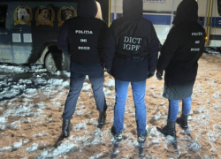 7 румын и 1 молдаванин задержаны за организацию собачьих боев. Пять собак ранены