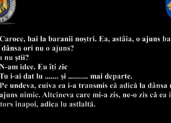 Адвокат получила взятку в 1000 евро, чтобы «отмазать» сына другого адвоката
