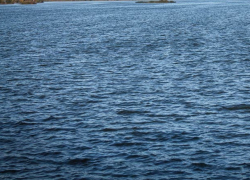 Не успела мать отвернуться, а ее маленький сын столкнул в воду восьмимесячного брата