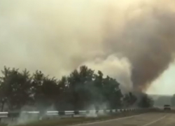 В Молдове участились случаи возгораний растительности 