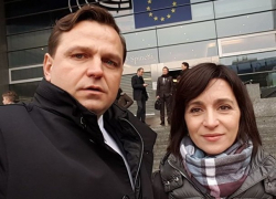 Диаспора обиделась на Санду и Нэстасе