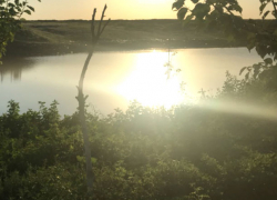 Трагедия в Конгазе: мужчина обнаружил гусей и погиб