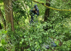 В Рыбницком районе молния убила отца и сына