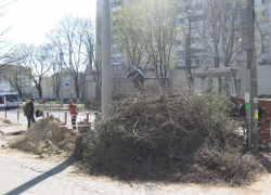 На бульваре Штефана чел Маре вырубают не высохшие деревья