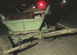 Нетрезвая женщина с четырьмя детьми на кэруце попали в ДТП