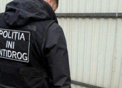 Антинаркотическая кампания идет полным ходом: полиция выявила множество случаев хранения запрещенных веществ