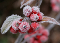 В субботу в Молдове будет пасмурно и ветрено 