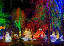 Для посетителей Рождественской ярмарки в Кишиневе COVID- сертификат больше не нужен?