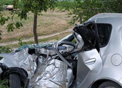 Смертельная автокатастрофа на трассе Бельцы - Старая Добруджа: мужчина погиб при ударе машины о дерево