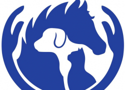 Зоозащитники никак не могут найти себе руководителя - неудовлетворительные оценки