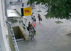 "Цветочные преступницы" в центре Кишинева попали на видео