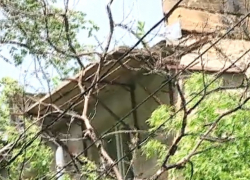 В Кишиневе снова рухнуло дерево