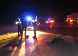 Мужчина погиб под колесами автомобиля на трассе Кишинев – Хынчешты