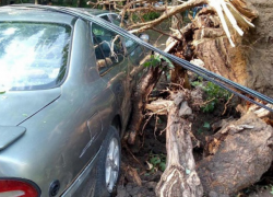 Последствия вчерашней стихии - обесточенные села, поваленные деревья, размытые дороги