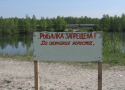 На Днестре орудуют рыбаки-браконьеры