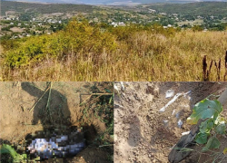 Мужчина убил односельчанку и закопал на окраине села: он задолжал ей