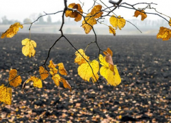 В субботу в Молдове ожидается переменная облачность и до 13 градусов тепла 
