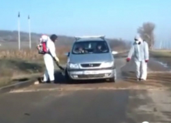 Зараженные мясные отходы из Украины вызвали вспышку свиной чумы в Хынчештском районе