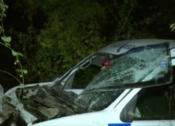 Трое подростков угнали отцовскую машину и врезались в дерево в Ватре 