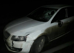 Пожилой мужчина погиб под колесами автомобиля на трассе Кишинев-Оргеев