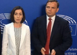  Санду и Нэстасе недовольны итогами выборов, они призвали международных наблюдателей не признавать их 