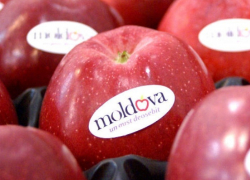 Наши яблоки – самые продаваемые в России